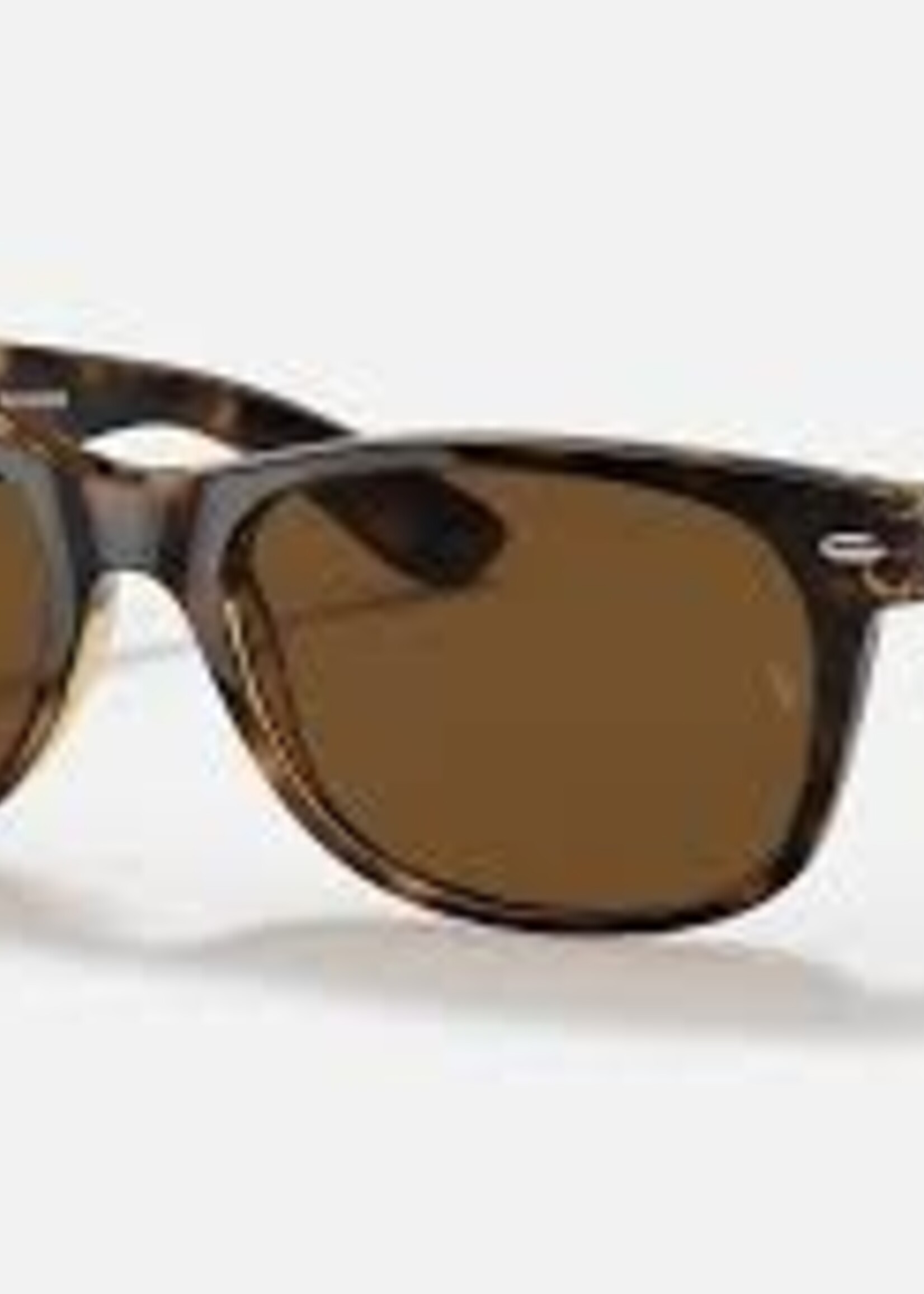 New Wayfarer Sunglasses