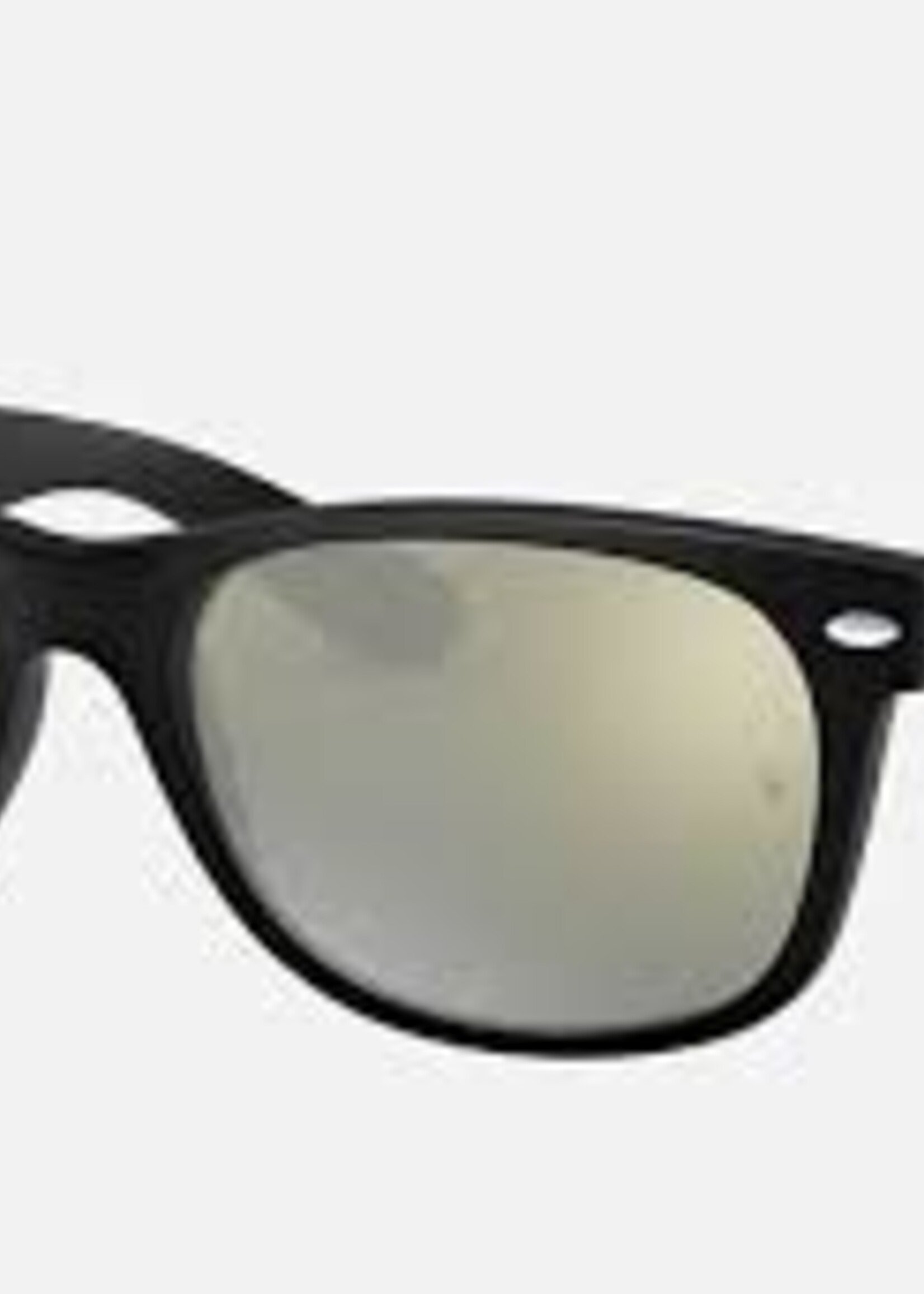 New Wayfarer Sunglasses