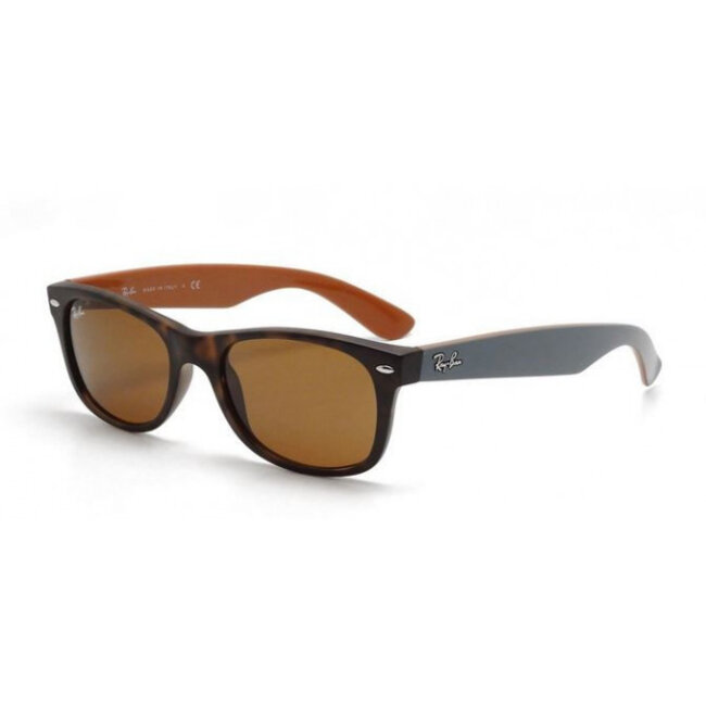 New Wayfarer Sunglasses