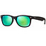 New Wayfarer Sunglasses