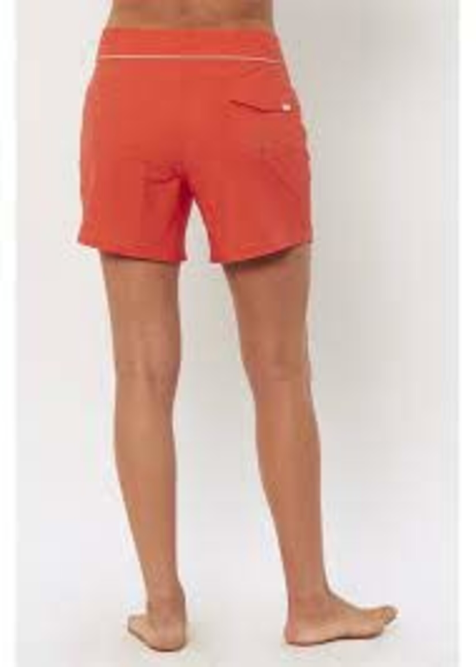 Sisstrevolution Currents Boardshort