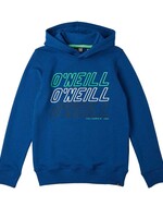 O'Neill All Year Hoodie