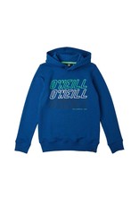 O'NEILL All Year Hoodie