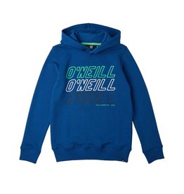 O'NEILL All Year Hoodie
