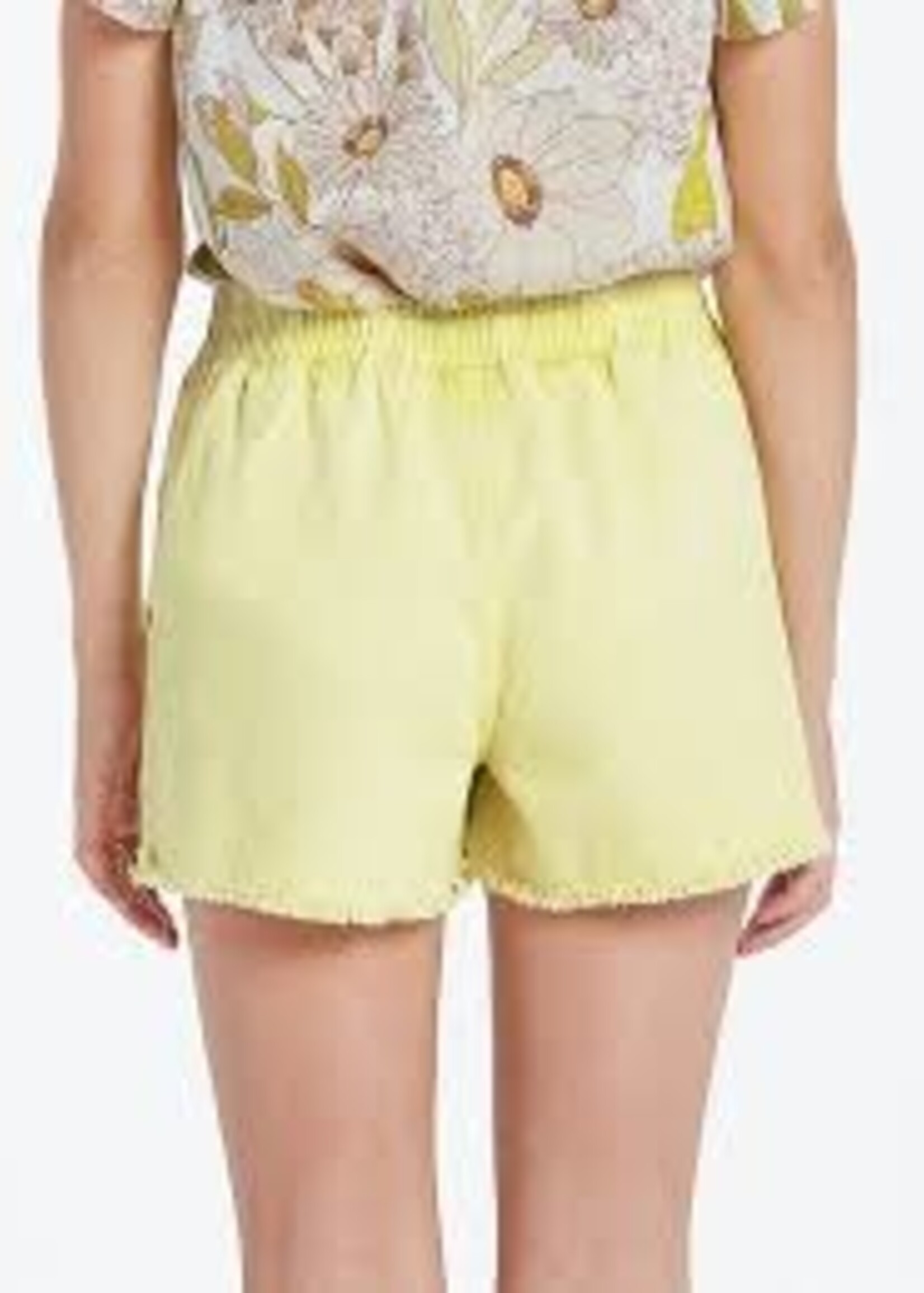 Volcom Strutin Stone Short