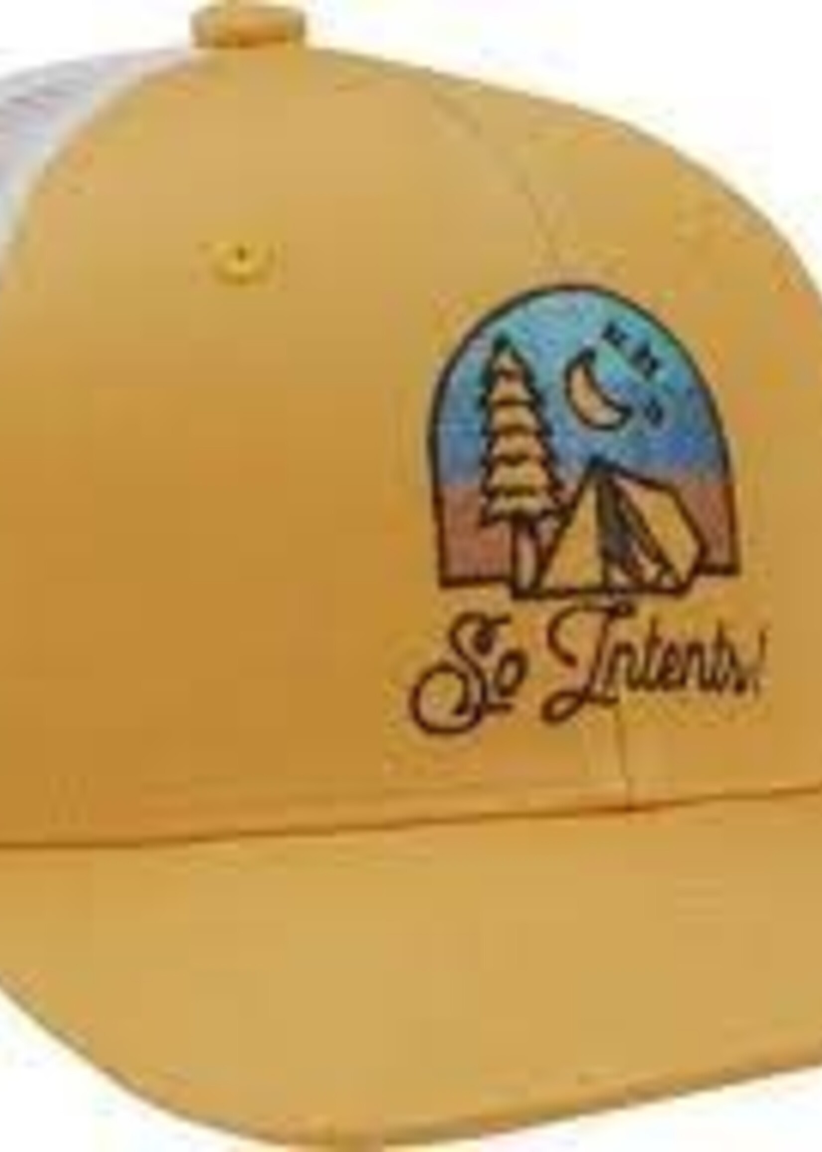 Coal The Tall Tales Cap