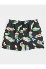 Vans Mixed Volley Short