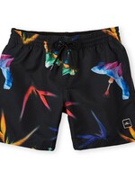 O'Neill Print Shorts