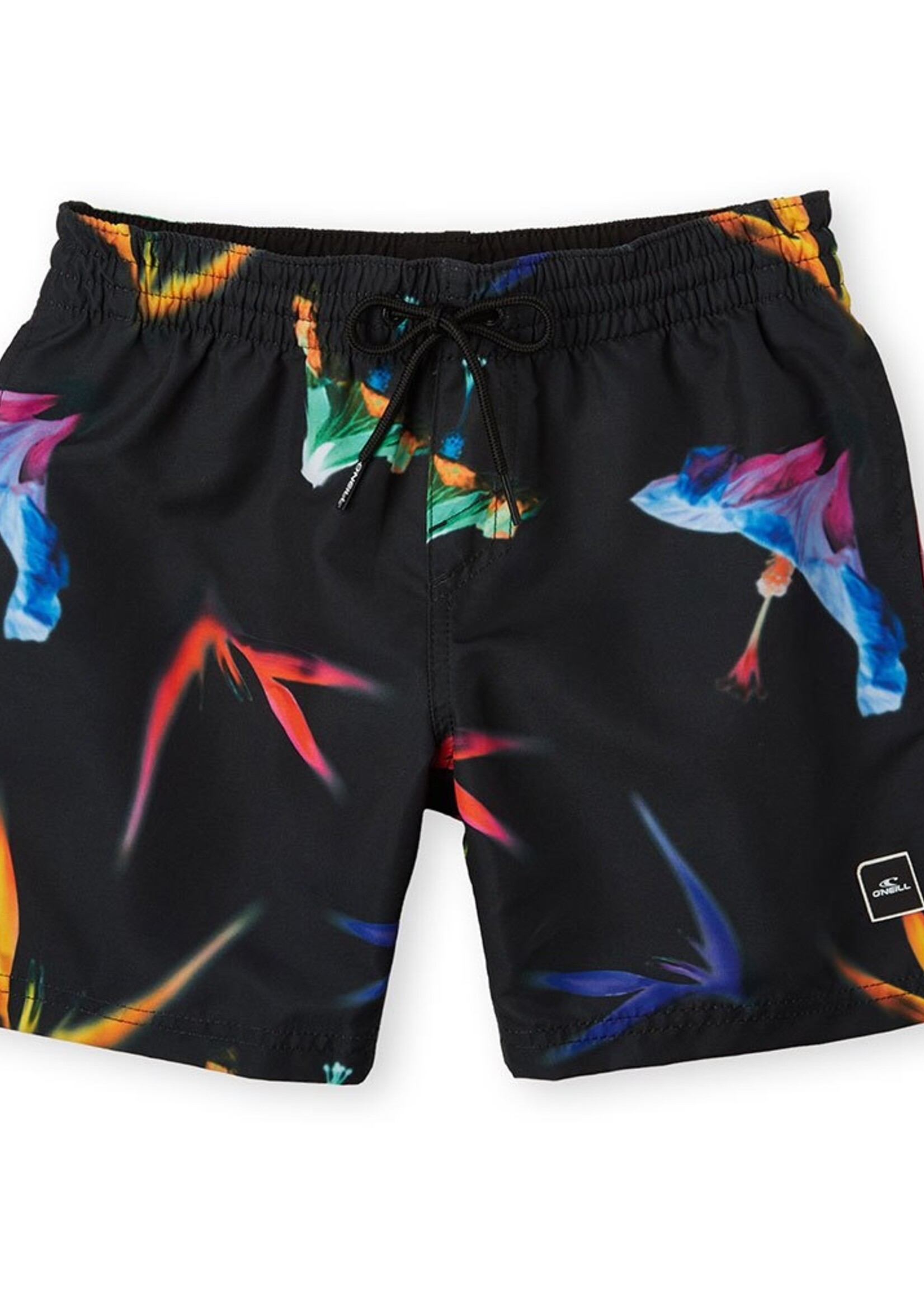 O'Neill Print Shorts