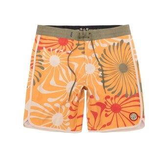 Dark Seas Leary 18" Boardshort | Gold