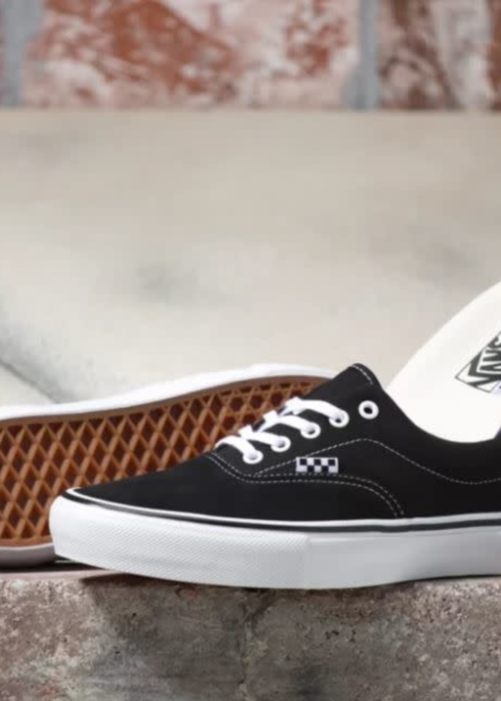 Vans Skate Era