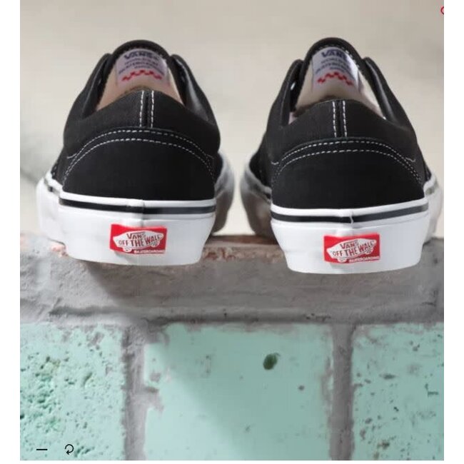 Vans Skate Era