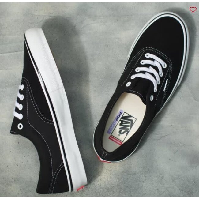 Vans Skate Era