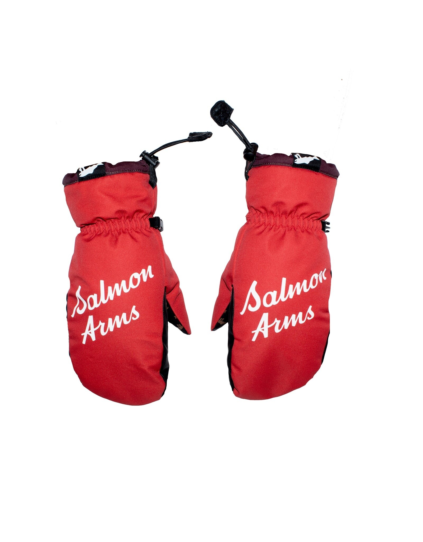 Salmon Arms Nortons Teammitt