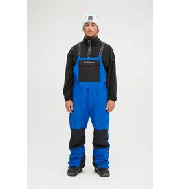 O'Neill Shred Bib Pants