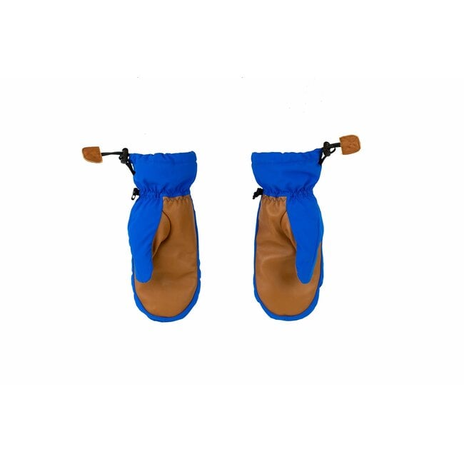 Salmon Arms Classic Mitts