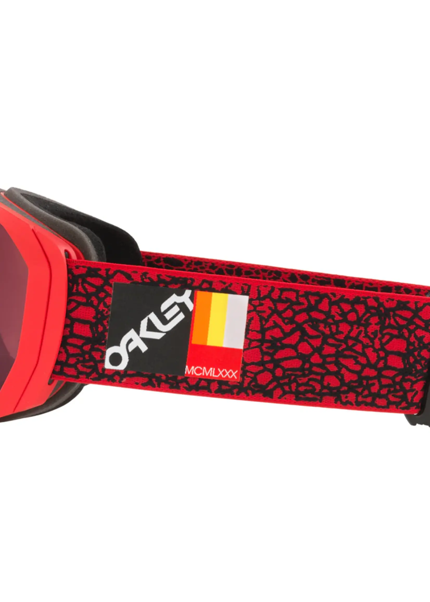 Oakley Flight Path Goggles  Large