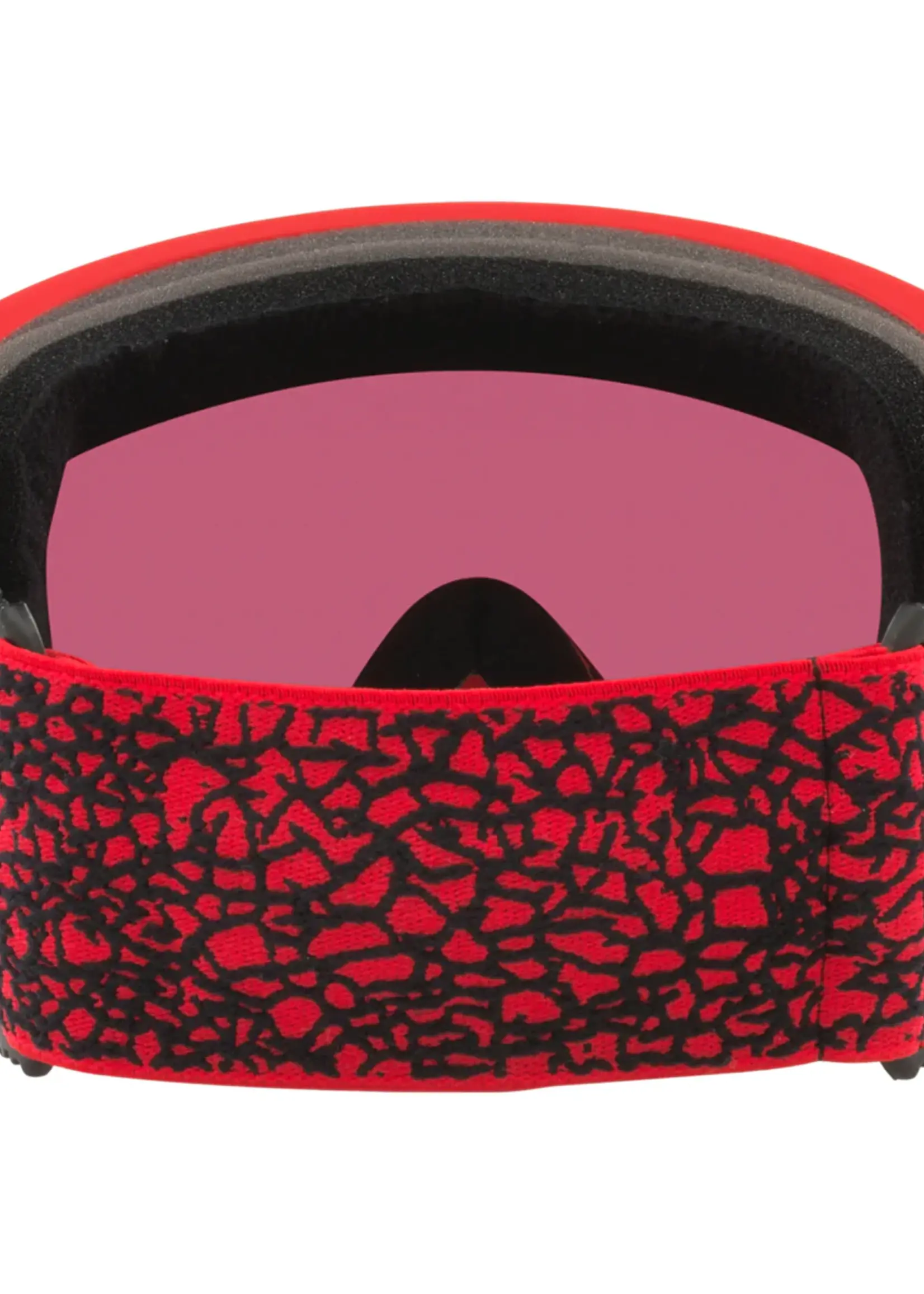 Oakley Flight Path Goggles  Large