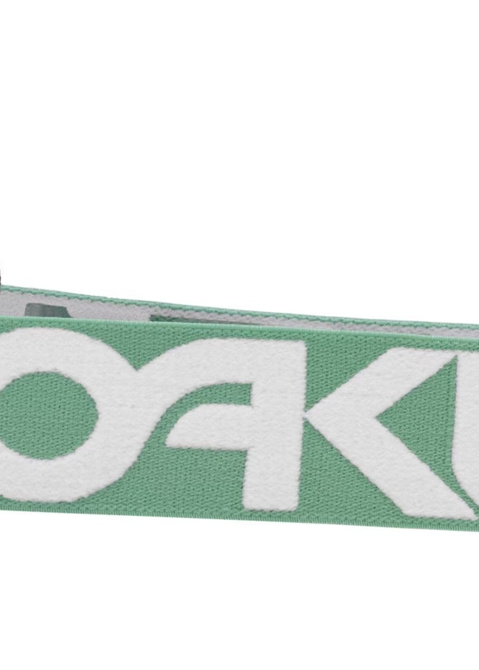 Oakley Flight Tracker Goggles Medium