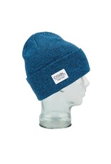 Coal The Standard Beanie