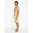 Volcom Men's Crafter Liberator Swim Trunks | Shadow Lime