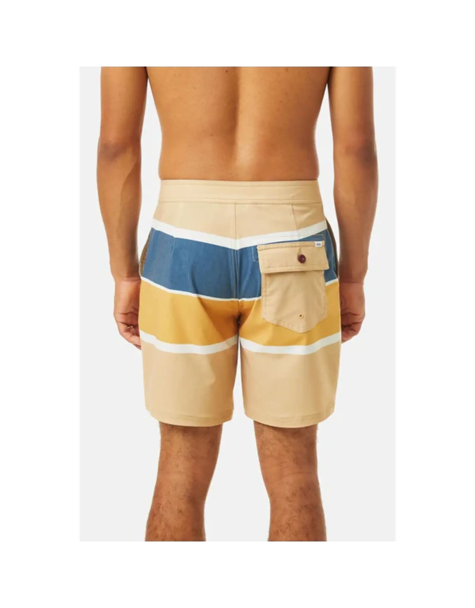 Katin Duke Hybrid Trunk