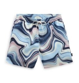 Vans Primary Print Elastic Boardshort