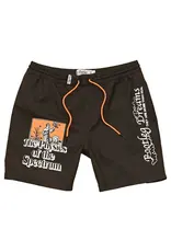 GLOBE The Physics Poolshort Swimming Shorts