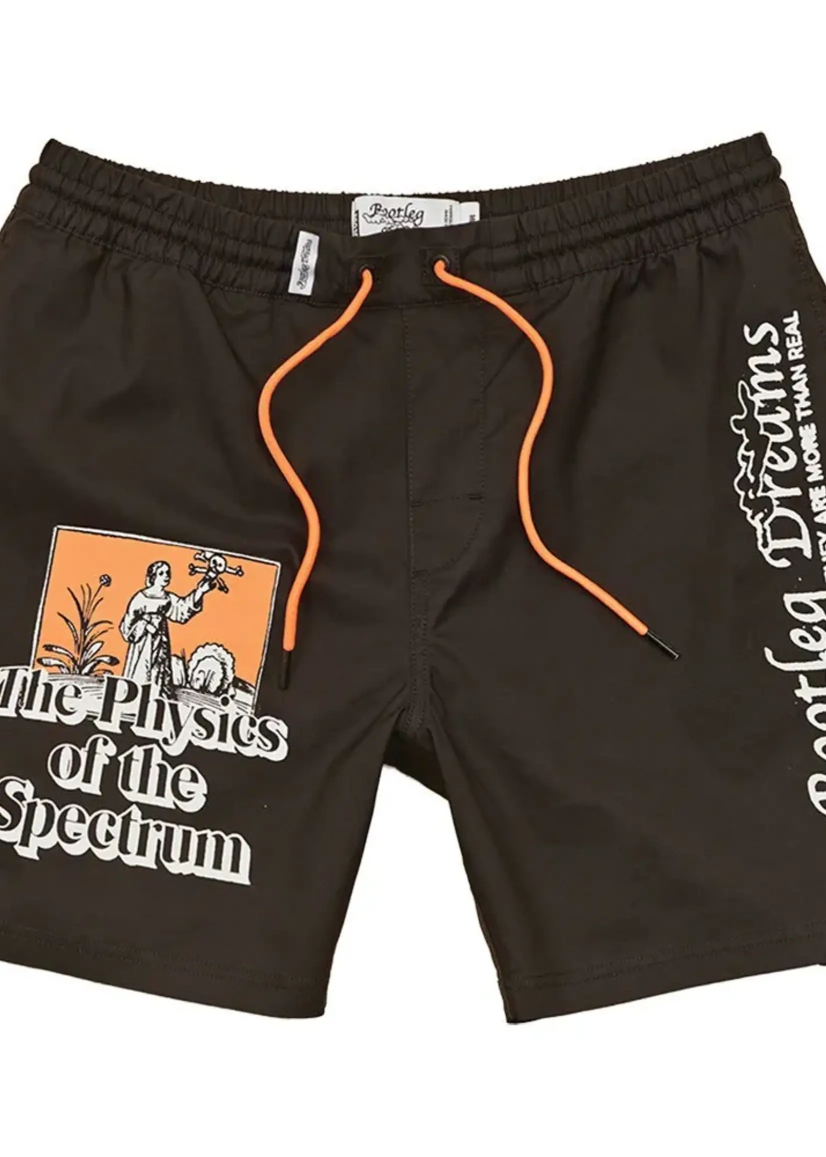 Globe The Physics Poolshort Swimming Shorts