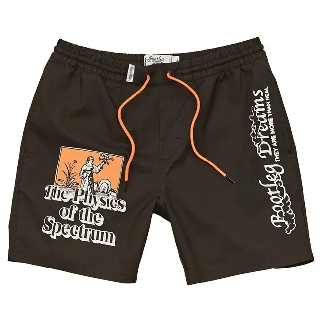 Globe The Physics Poolshort Swimming Shorts