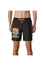 GLOBE The Physics Poolshort Swimming Shorts