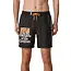 Globe The Physics Poolshort Swimming Shorts