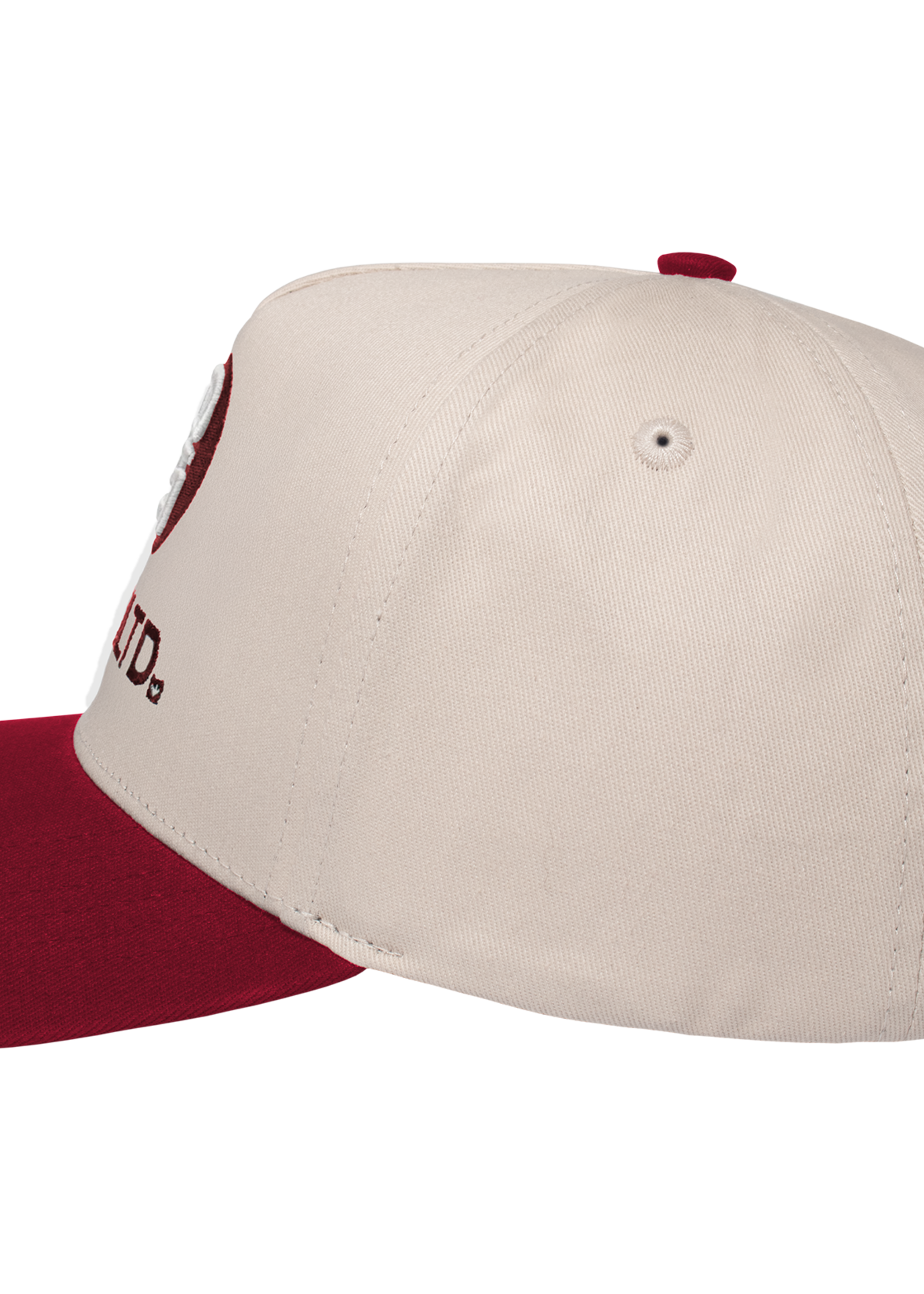 TEAMLTD Logo Snapback