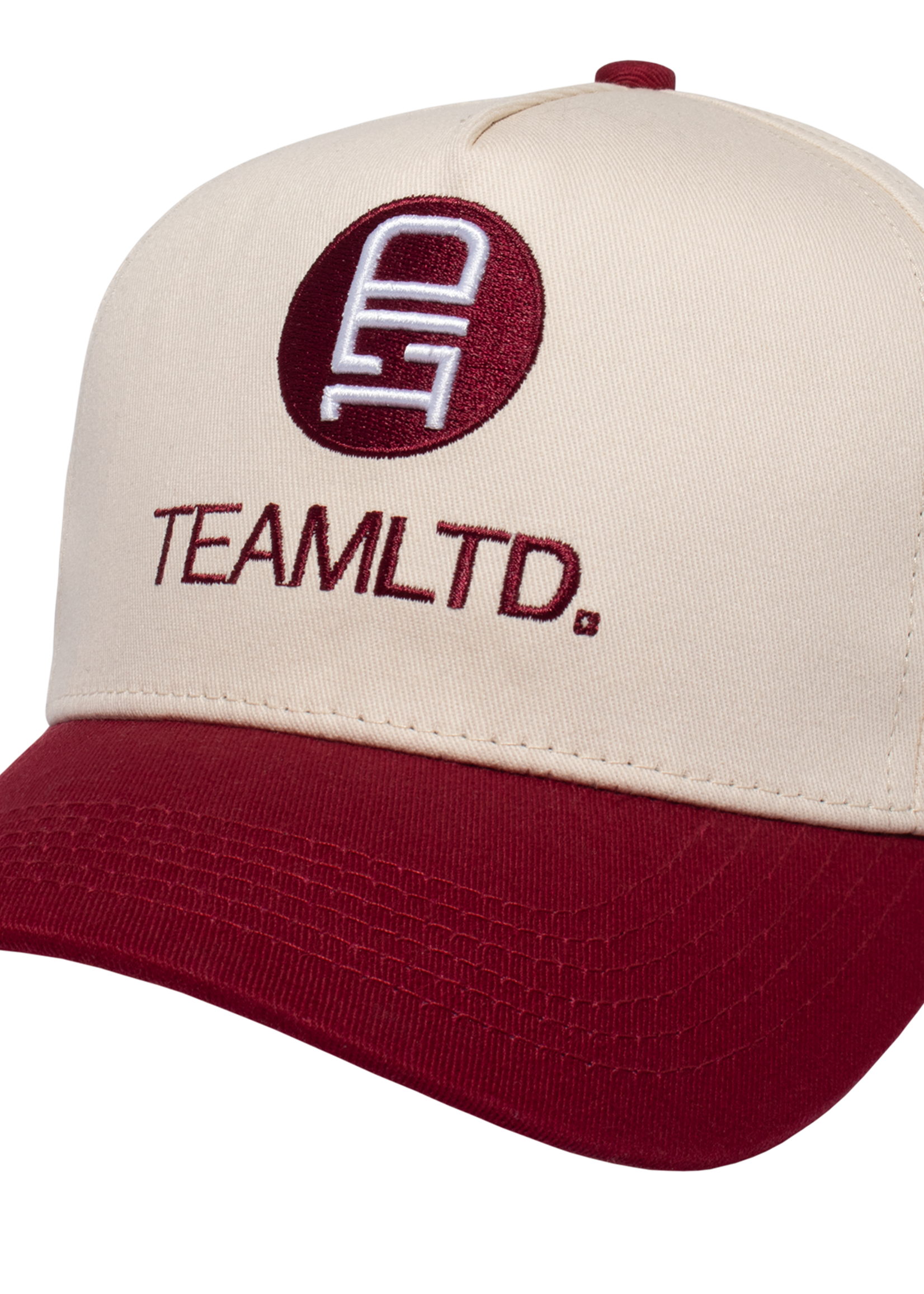 TEAMLTD Logo Snapback