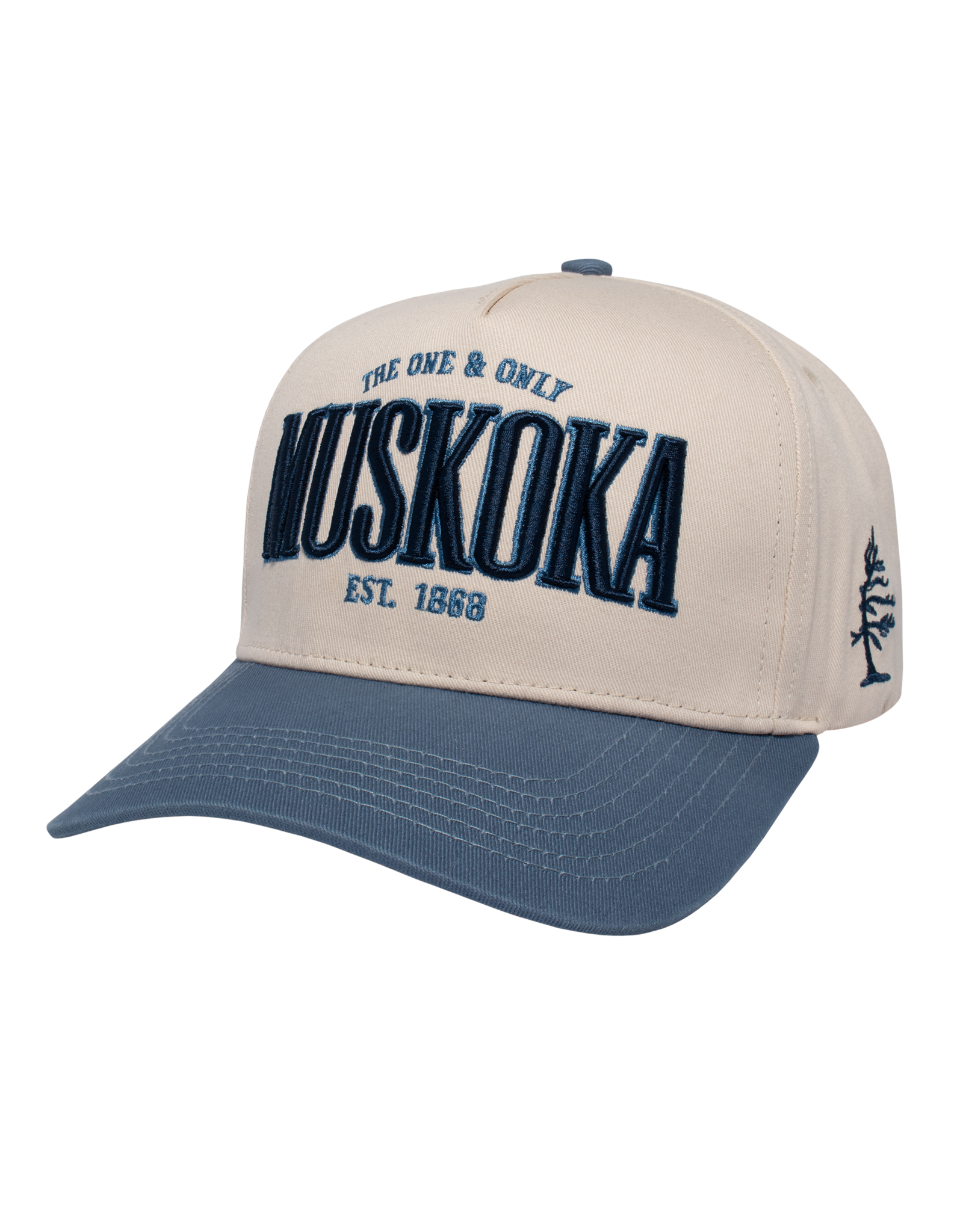 TEAMLTD Muskoka Snapback