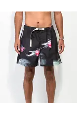 ELEMENT Solar Wander Boardshort