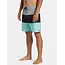 Billabong Tribong Pro 19" Boardshort