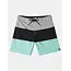 Billabong Tribong Pro 19" Boardshort