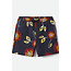 Brixton Men's Voyage Volley  Swim Short