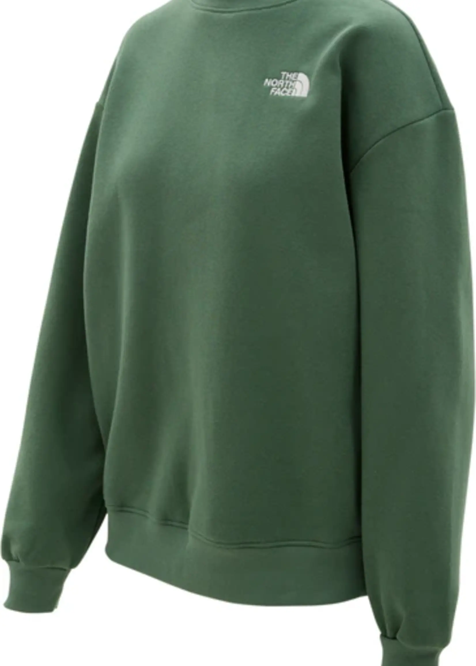 The North Face Women's Evolution Oversized Crew