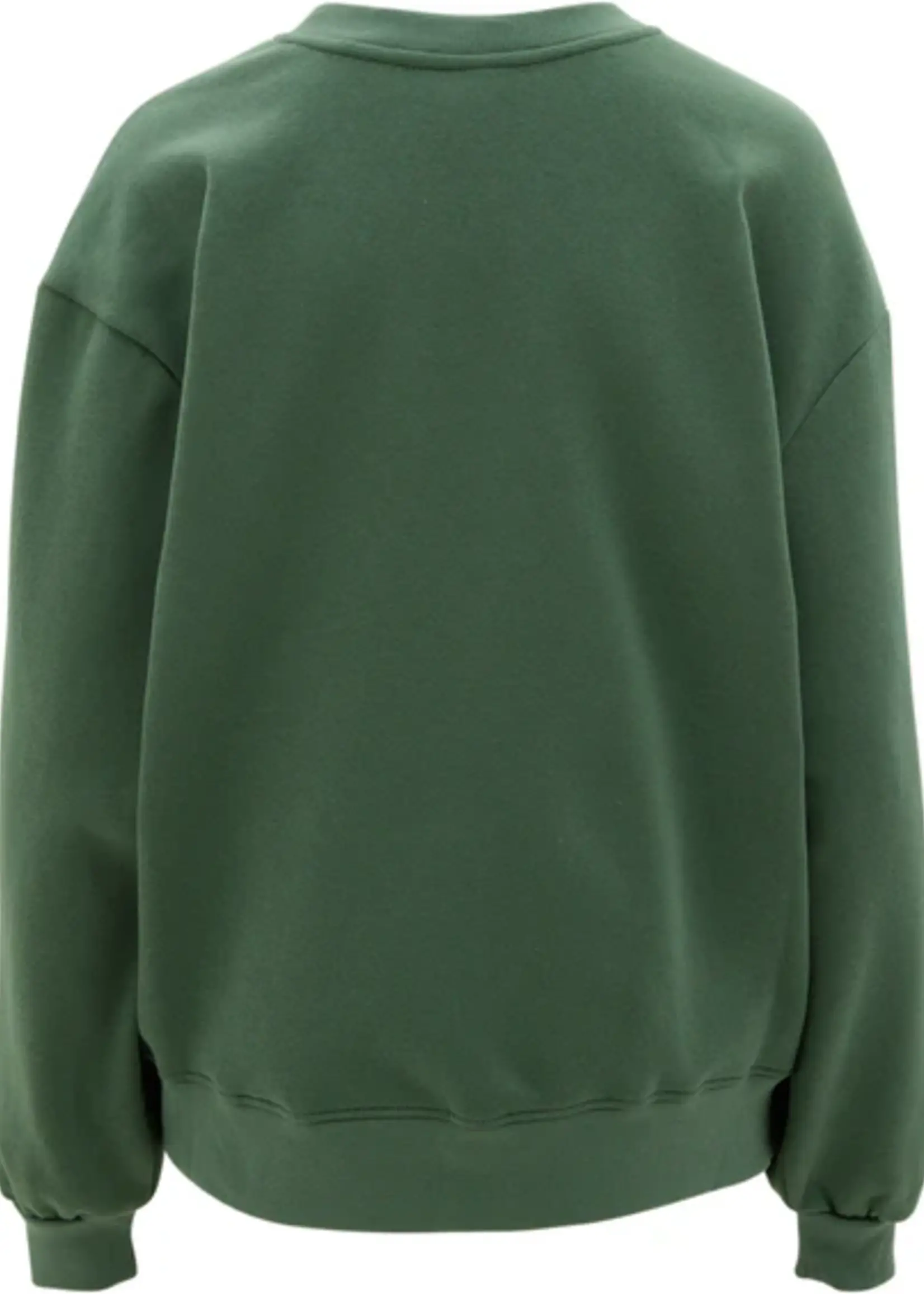 The North Face Women's Evolution Oversized Crewneck Sweater | Duck Green
