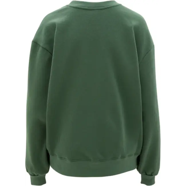 The North Face Women's Evolution Oversized Crewneck Sweater | Duck Green