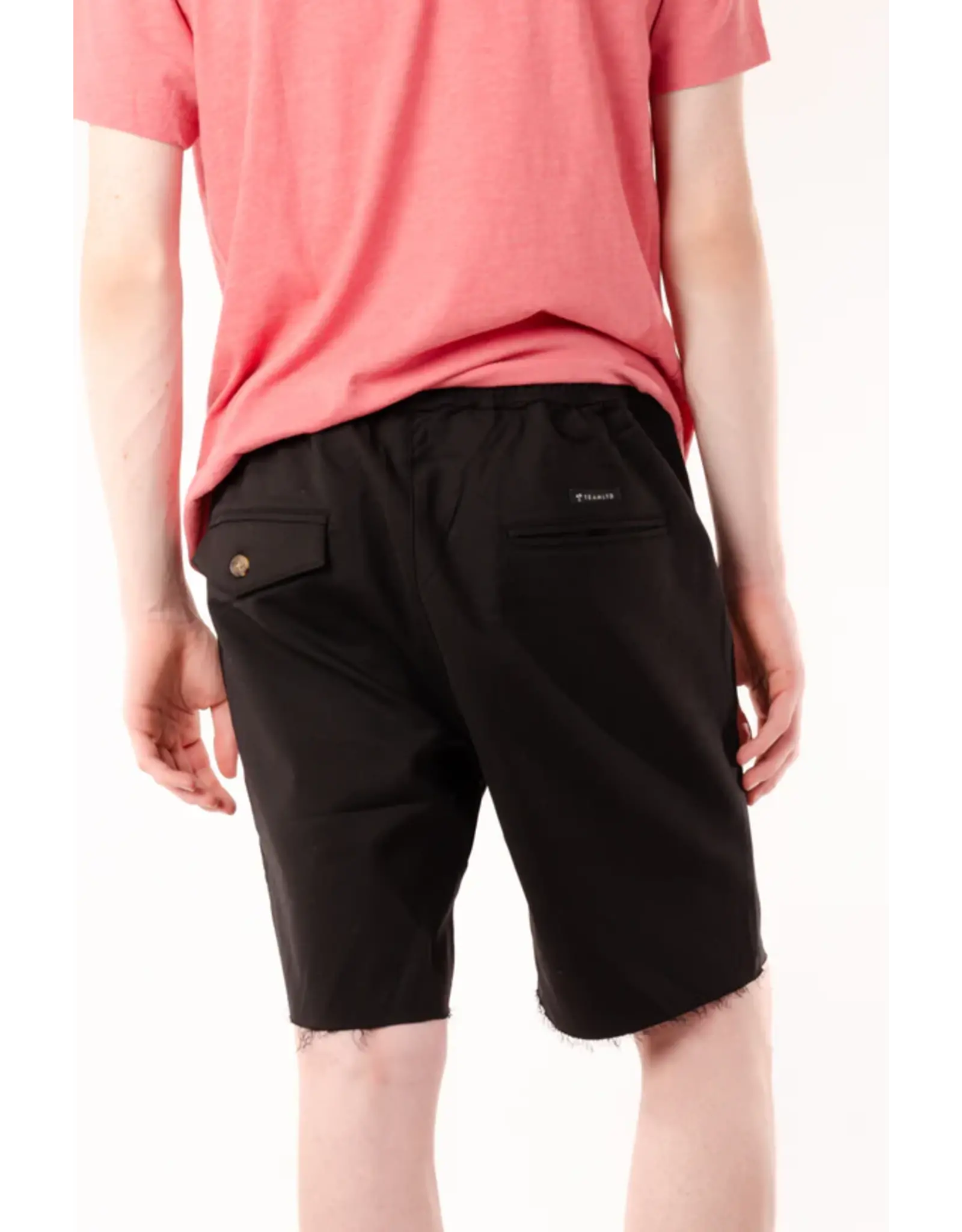 TEAMLTD Men's Element Shorts