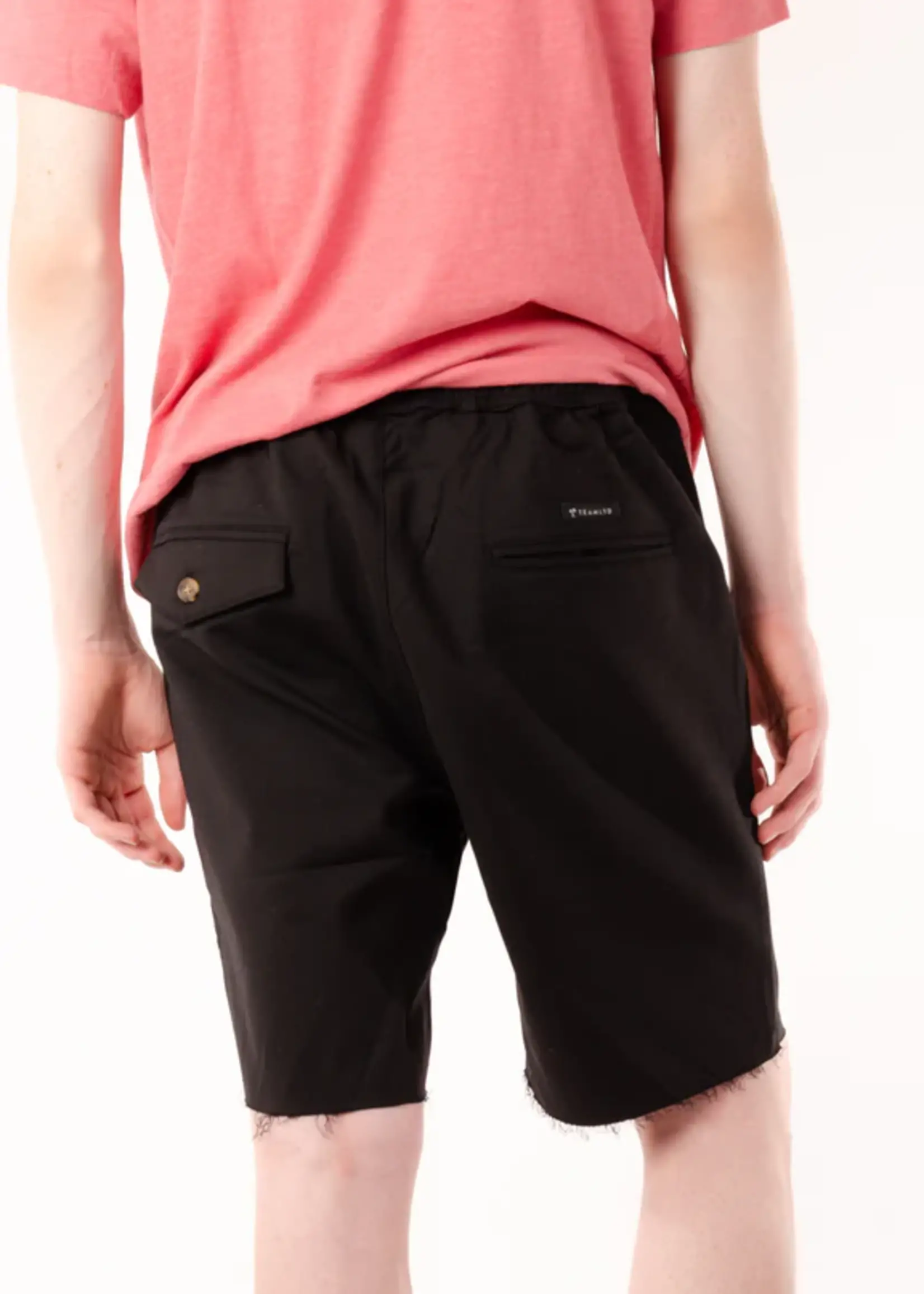 TEAMLTD Men's Element Shorts
