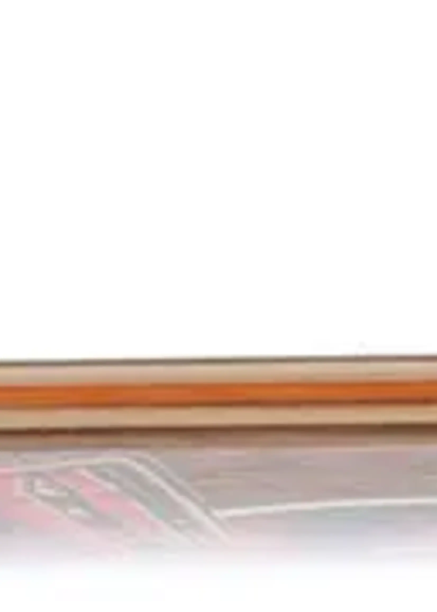 Bacon Skateboards Hopkins Ramblin And Scramblin Skateboard Decks