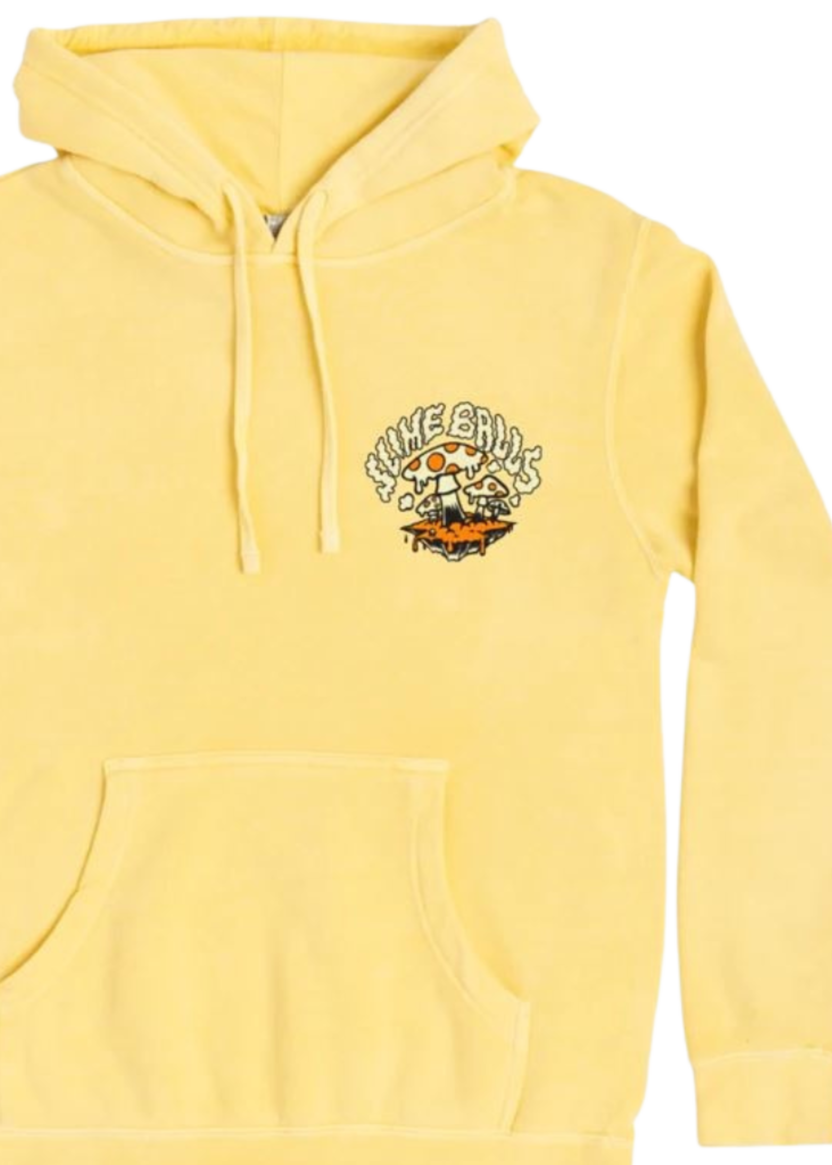 Santa Cruz Men's Toxic Trip Pullover Hoodie