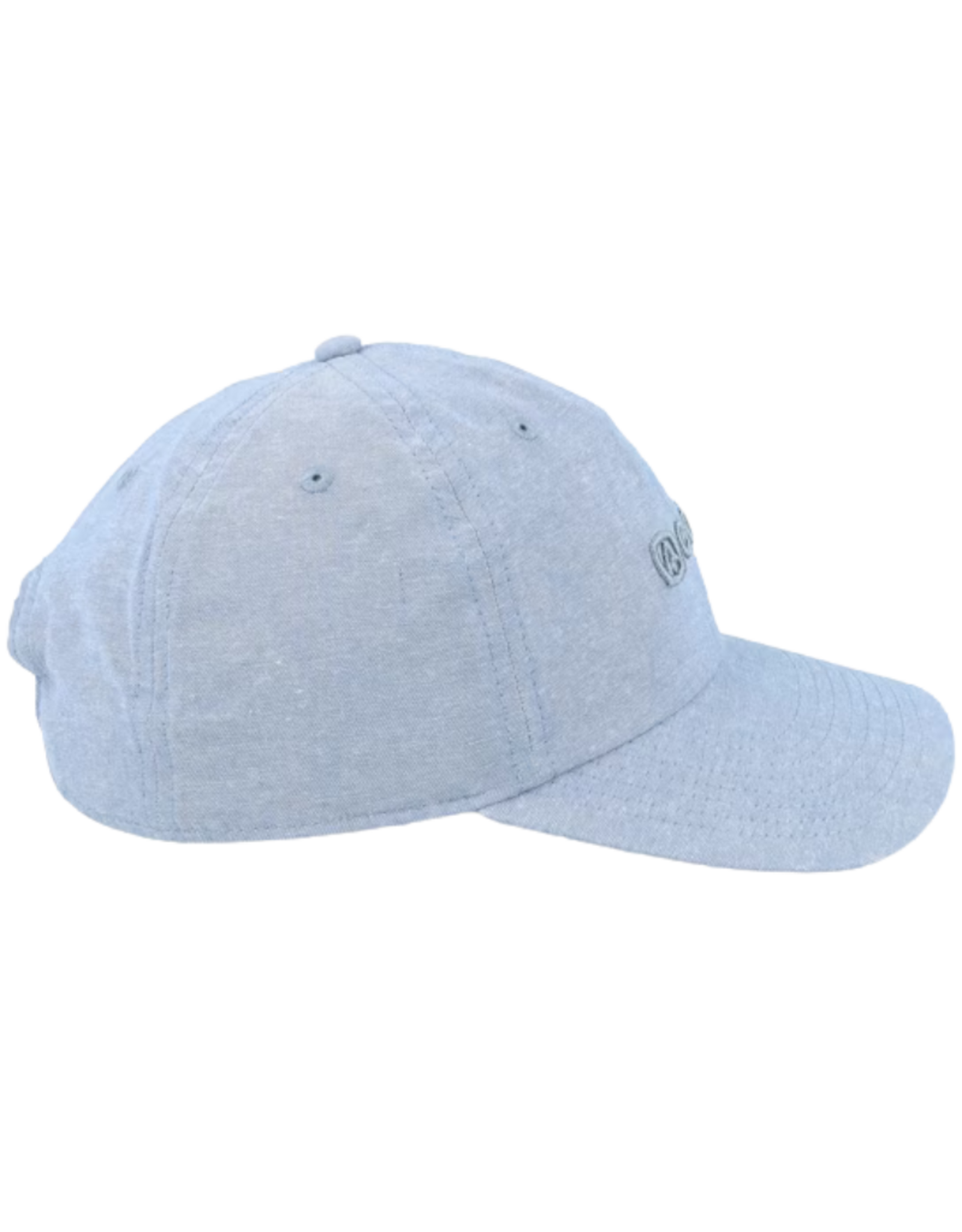Coal Encore  Low Profile Dad Snapback