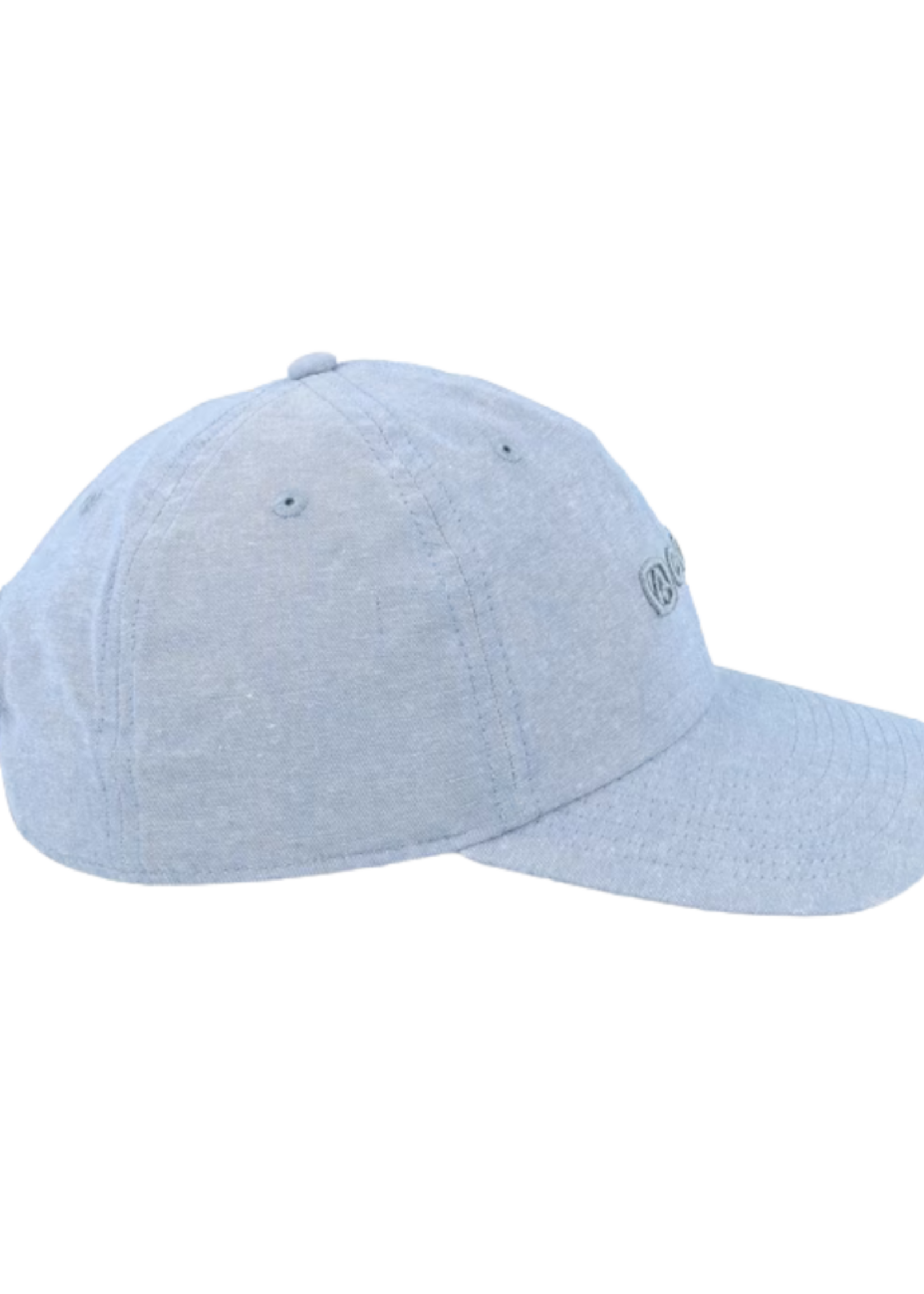 Coal Encore  Low Profile Dad Snapback