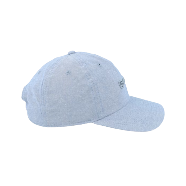 Coal Encore  Low Profile Dad Snapback