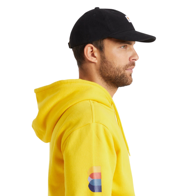 Brixton Alton LP Cap